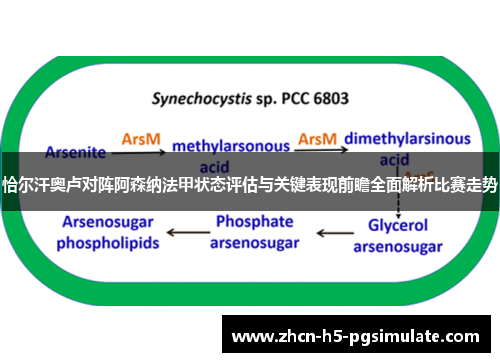 恰尔汗奥卢对阵阿森纳法甲状态评估与关键表现前瞻全面解析比赛走势
