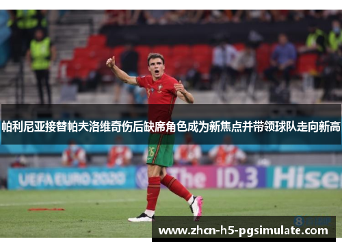 帕利尼亚接替帕夫洛维奇伤后缺席角色成为新焦点并带领球队走向新高