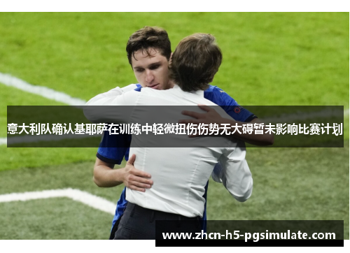 意大利队确认基耶萨在训练中轻微扭伤伤势无大碍暂未影响比赛计划